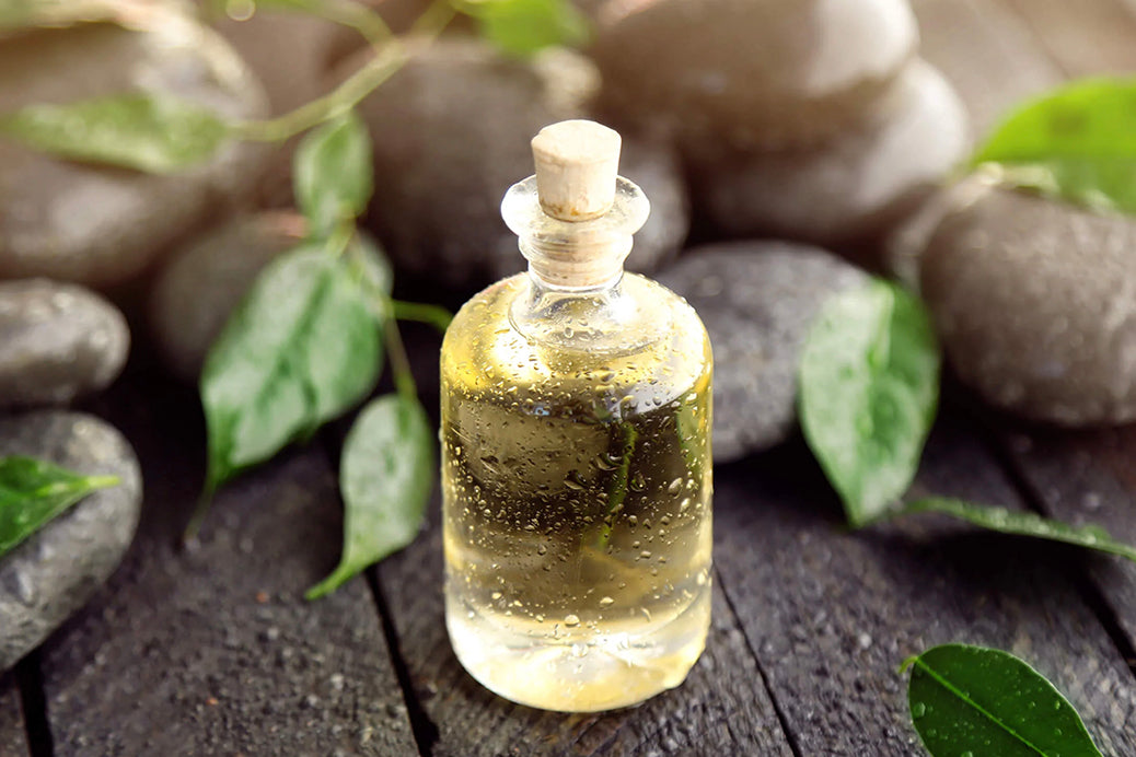 green tea oil