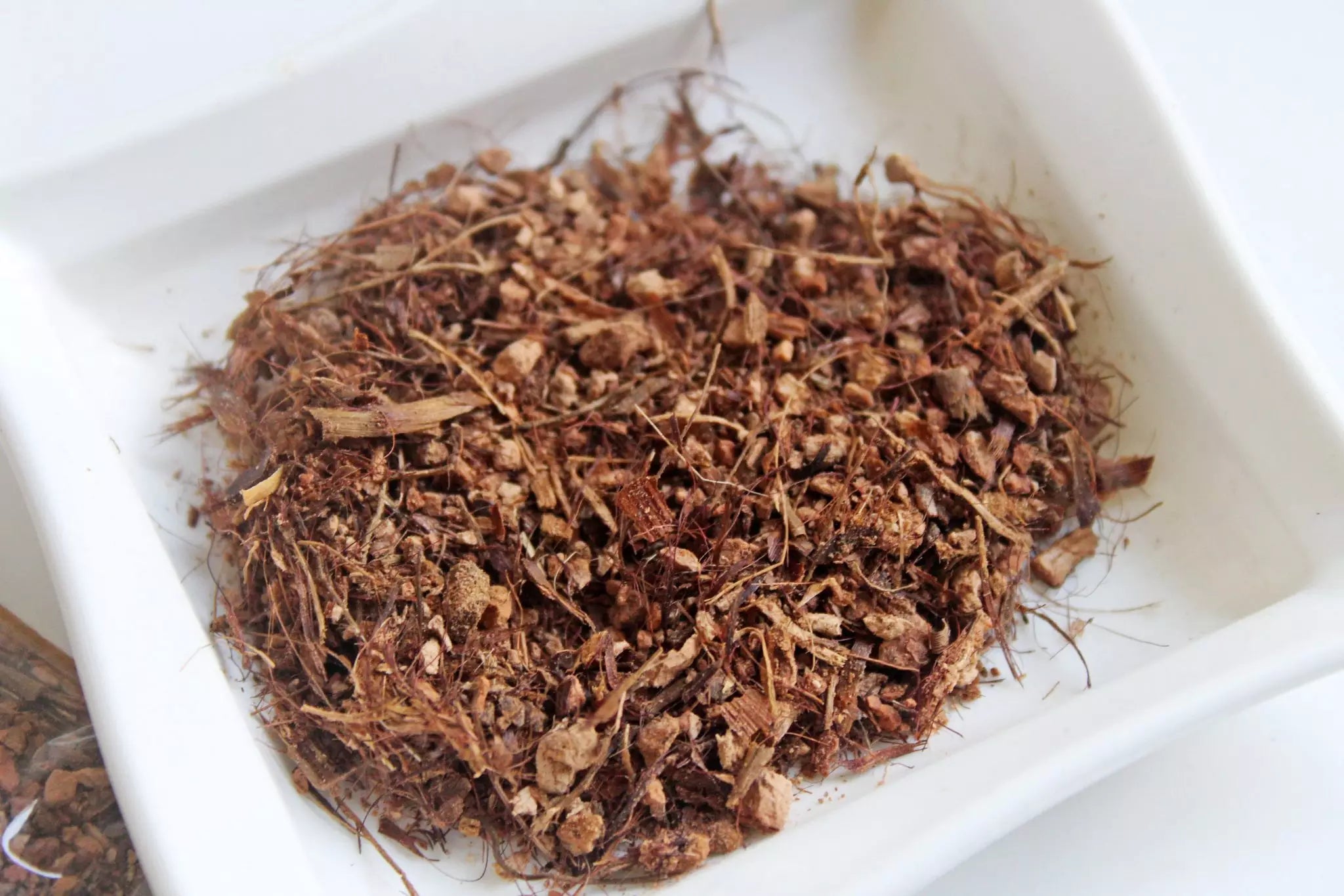 Priprioca: The Fragrant Oil From The Amazon - Radiant Crush