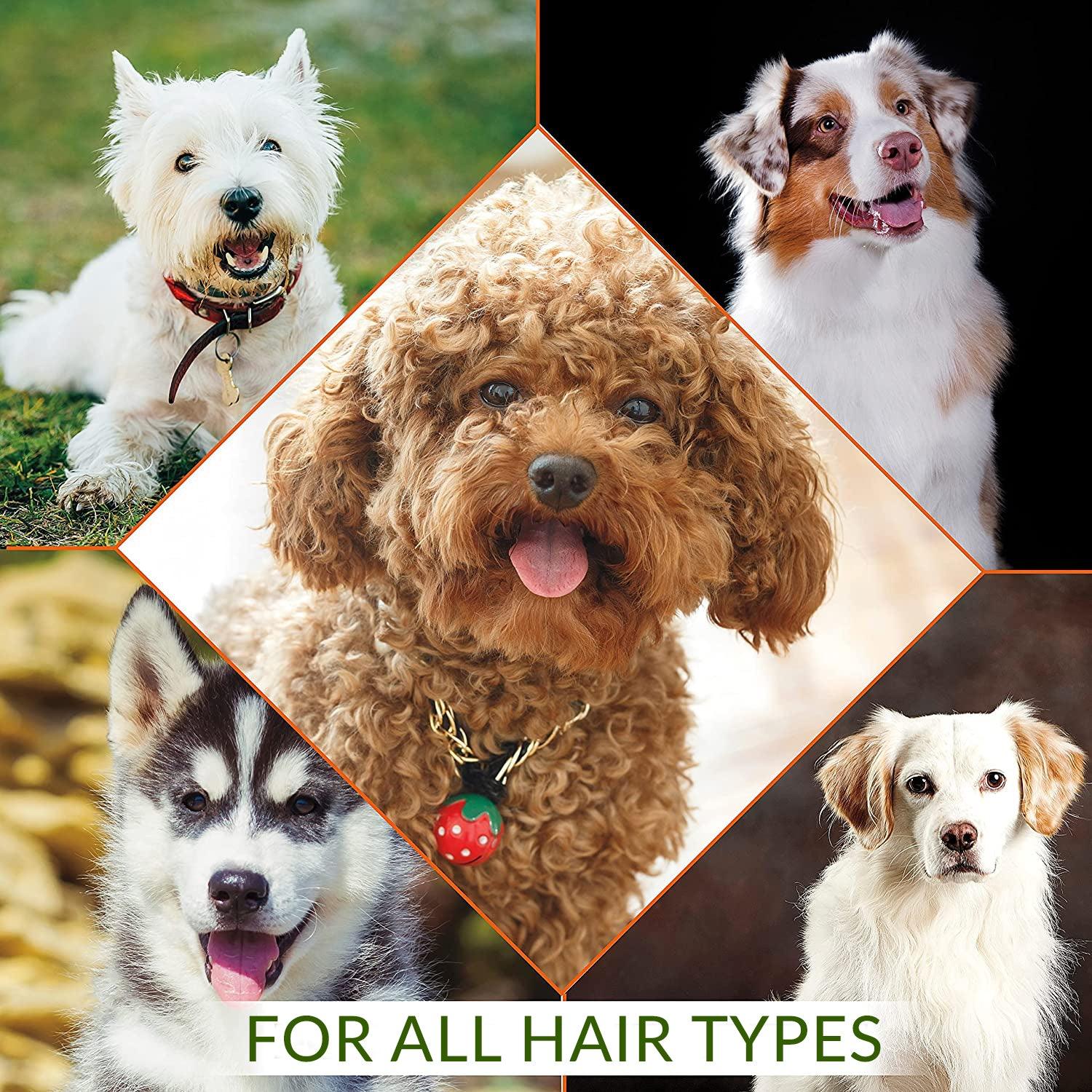 Butt Sniffer Shampoo Bar For Dogs - Radiant Crush