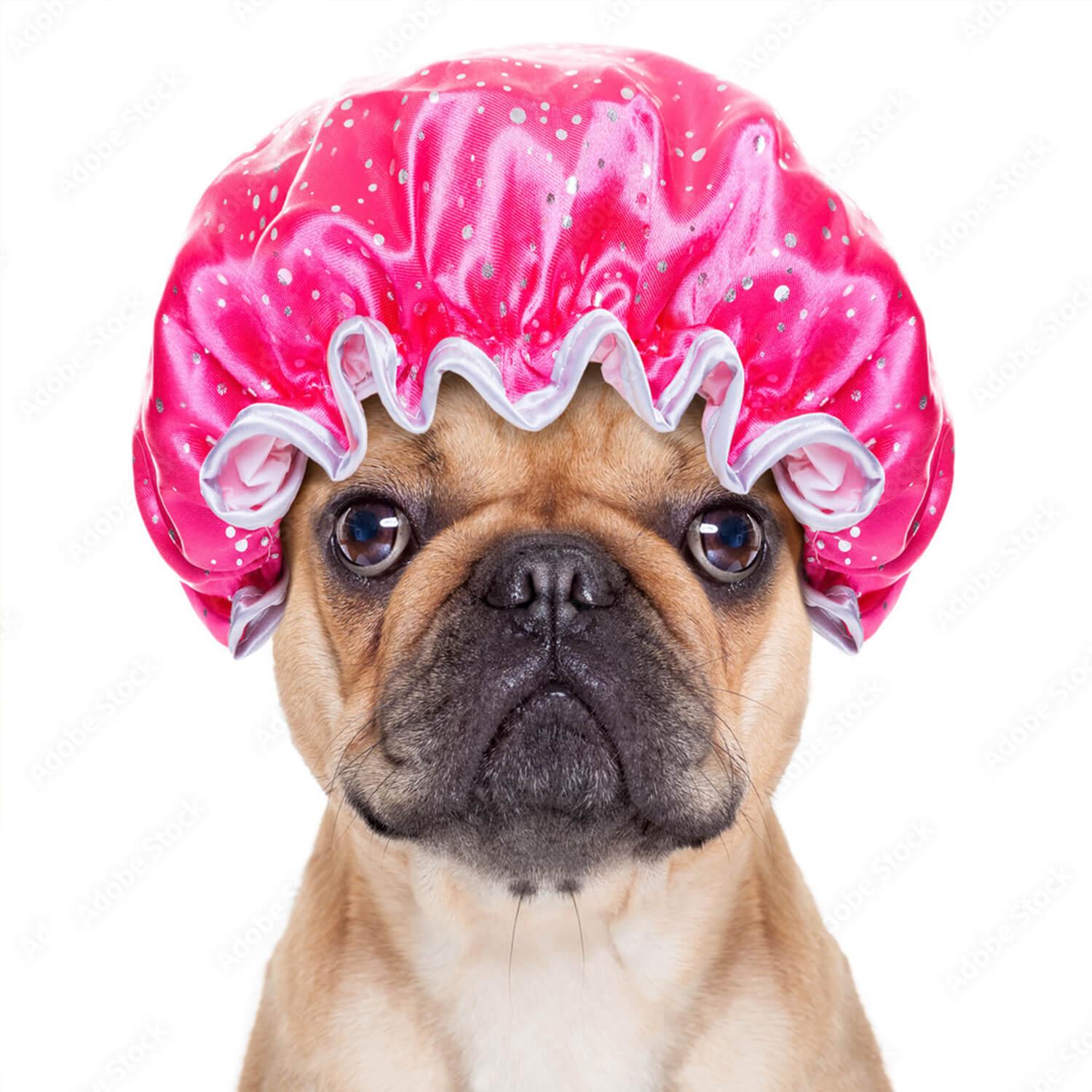 Butt Sniffer Shampoo Bar For Dogs - Radiant Crush