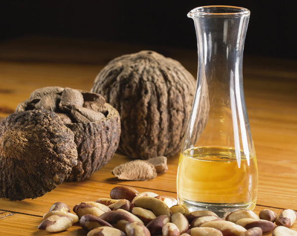 Benefits of Brazil Nut Oil for Skin
