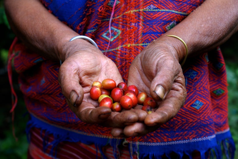 The Importance of Fair Trade Products